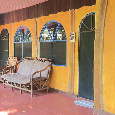 La Palapa Hut Nature Hostel Puerto Jiménez エクステリア 写真