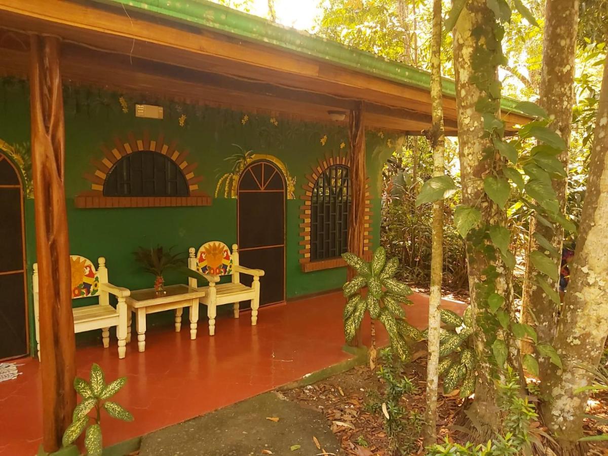 La Palapa Hut Nature Hostel Puerto Jiménez エクステリア 写真